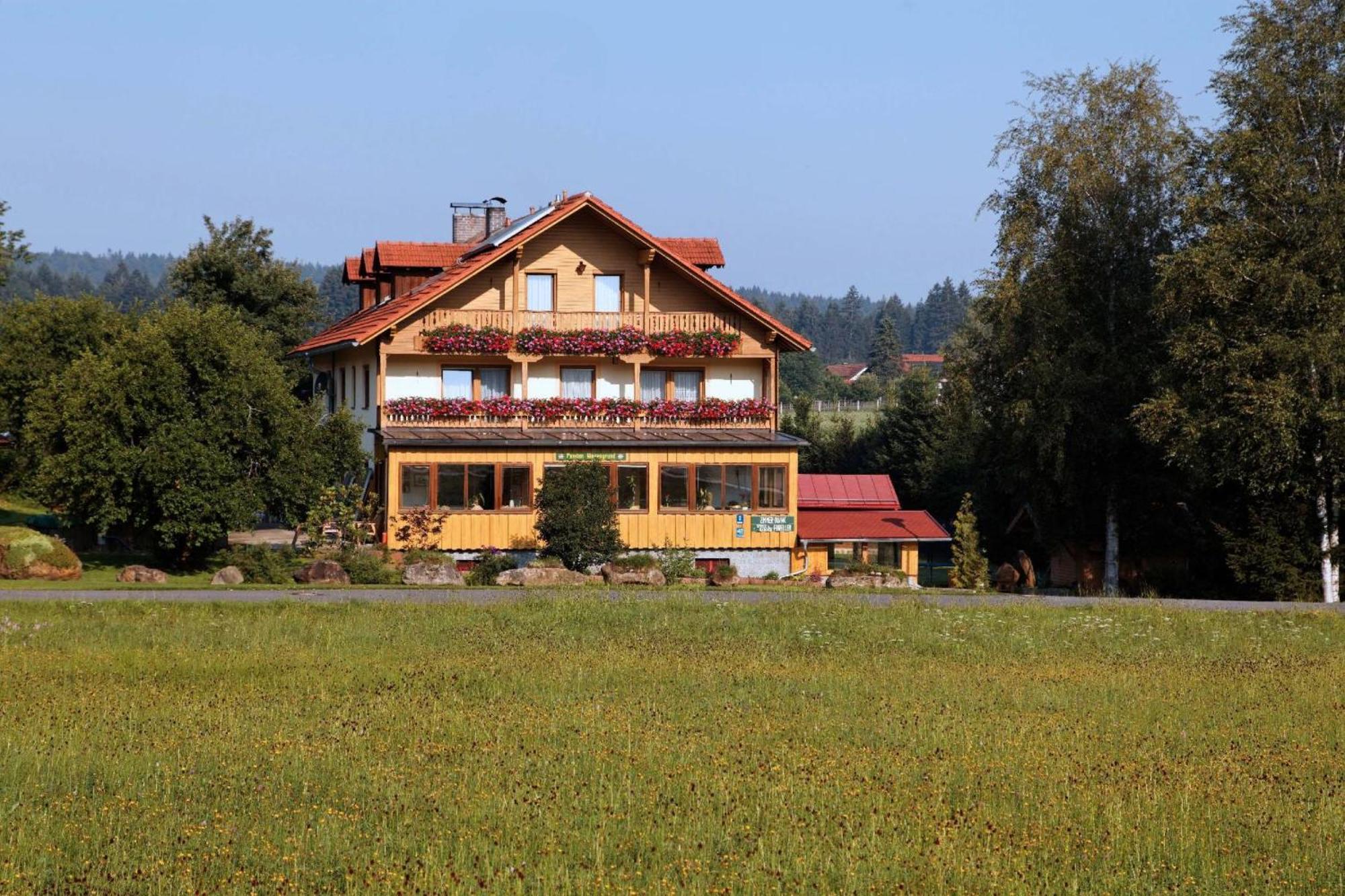 Pension Wiesengrund Neuschoenau Luaran gambar