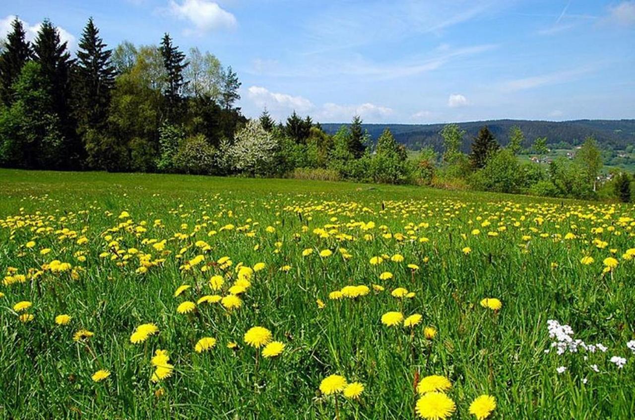 Pension Wiesengrund Neuschoenau Luaran gambar