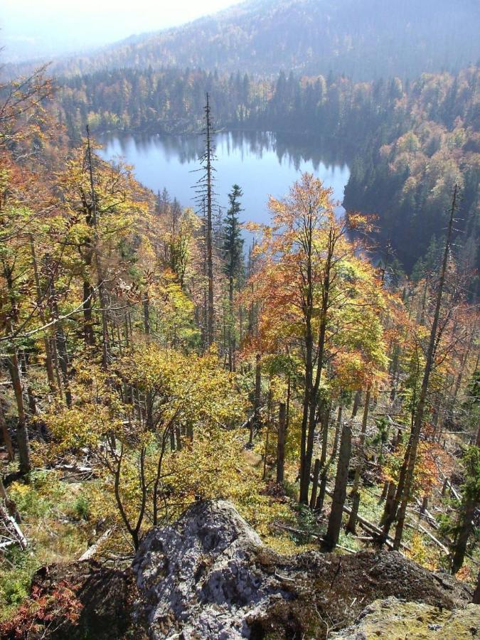 Pension Wiesengrund Neuschoenau Luaran gambar